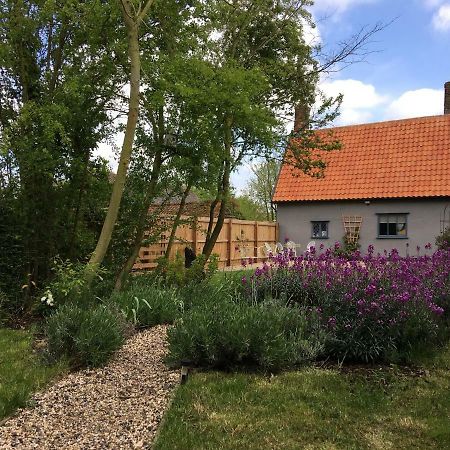 Watt Cottage Ipswich Ngoại thất bức ảnh